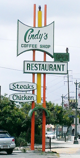 Those are owl statues perched on the sign