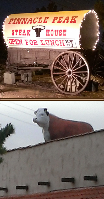 this is a little misleading, as the cow was higher than the sign