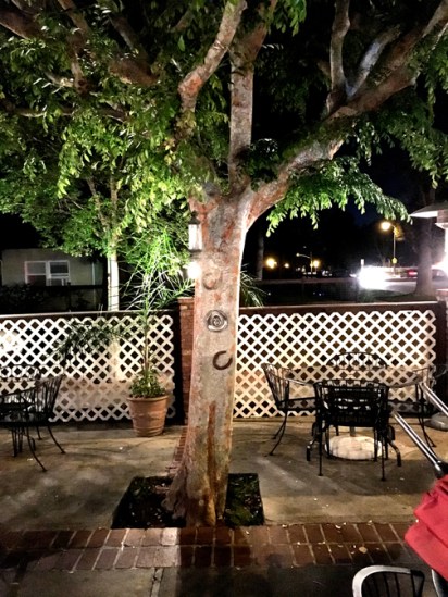 Rib Ranch y patio tree