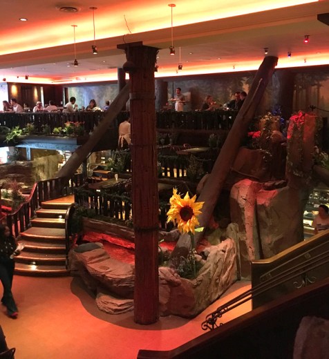 sYCCfirstandsecondcliftons093