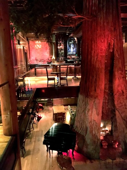 sYCCthird and secondcliftons063