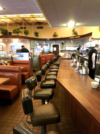 y-sizecanters-long-view-of-counter