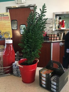 Twoheys ylittle tree